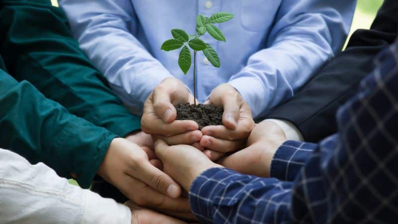 Corsi sostenibilità ambientale online