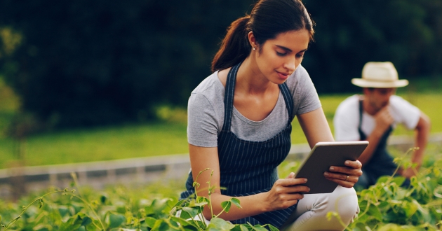 Innovazioni In Agricoltura Sostenibile