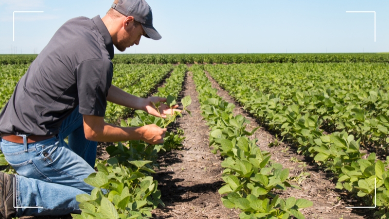 tecnologie verdi per l'agricoltura